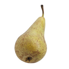 Front view of conference pear isolated on white	