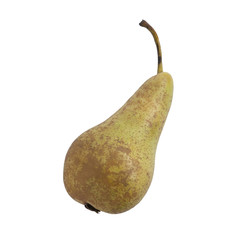 Front view of conference pear isolated on white	