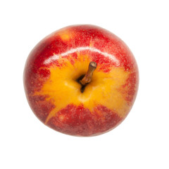 Red apple fruits on the white background.