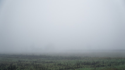 Landscape of dense fog in the field and silhouette of trees in warm winter - 193115242