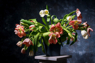 white and pink tulips in vase on gray-blue background