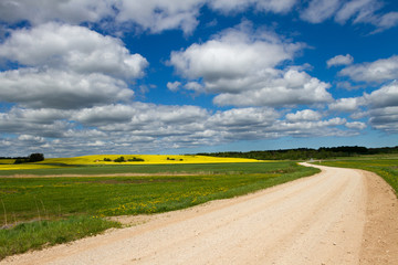 Landscape with country road.