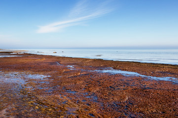 Coast of Baltic sea.