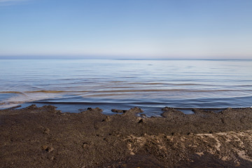 Coast of Baltic sea.