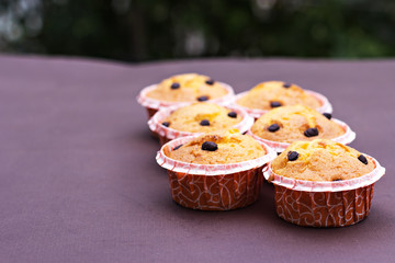 Homemade vanilla cupcakes with chocolate drops.