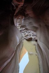dry fork slot canyon, grand staircase national monument, escalante, utah, usa