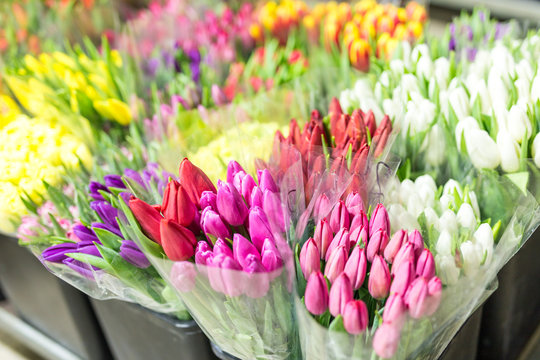 Lot of multicolored tulips bouquets. Flower market or store. Wholesale and retail flower shop.  Florist service. Woman day
