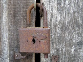 Rusty padlock on old wooden doors. Vintage hacked lock