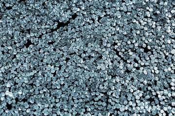 Compressed plastic bristles of a brush, abstract macro background