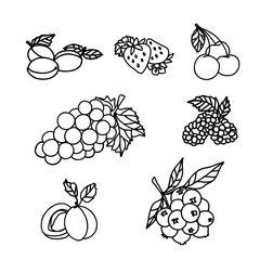 Fruits Sketch