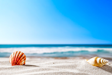 Summer beach and shells with blurred blue sea and sky 