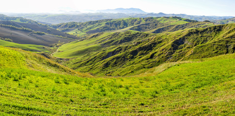 Obraz premium Colline verdi