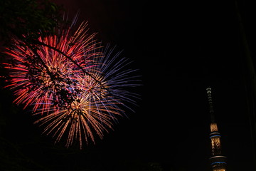 打上花火とスカイツリー