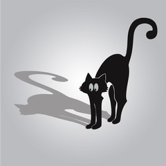 Graceful black cat and shadow