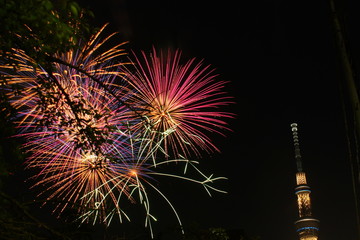 打上花火とスカイツリー