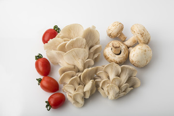 Vegetable: Top View of Oyster and Button Mushrooms with Red Baby Tomatoes Isolated on White Background