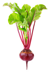 Beetroot with leaves