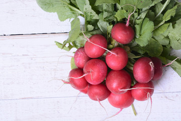 Fresh red radish