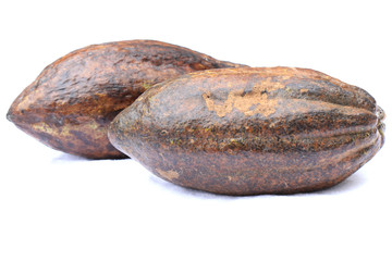 cocoa fruit isolated