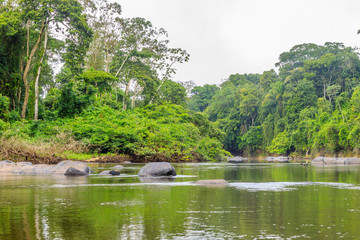 The beautiful nature of Surinam