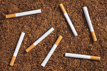 Tobacco and cigarettes