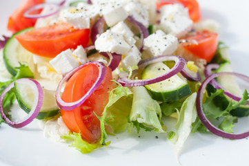 Fresh spring salad with cucumber, tomato, cheese and arugula isolated on a white plate 