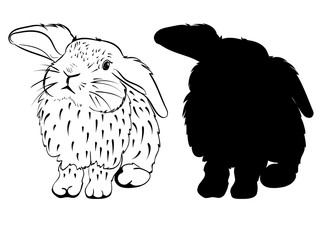 Stylized Sketch of a Bunny