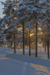 winter in Lapland, Sweden, Norrbotten
