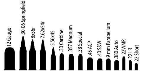 various calibrations of cartridges from various weapons with inscriptions