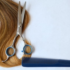 Волос с ножницами и расческа для стрижки на белом фоне
