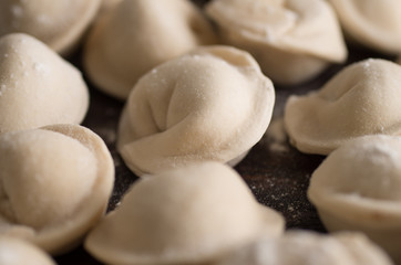 Fototapeta na wymiar dumplings in flour on the table