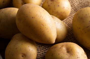 fresh potatoes on burlap