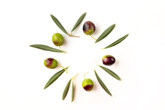 Olive leaves and olives forming frame on white with copyspace