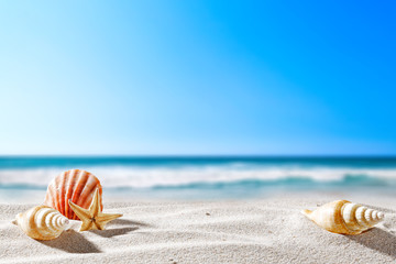 Summer background of free space for your decoration 