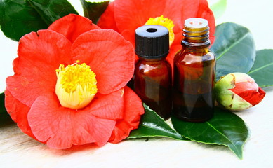huiles essentielles  de camélia
