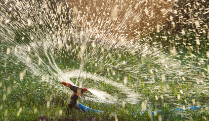 Splashing water from a hose on the lawn