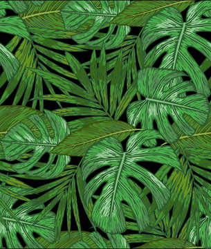Hand drawing a Seamless pattern of tropical palm leaves. Vector background of green foliage on a black background