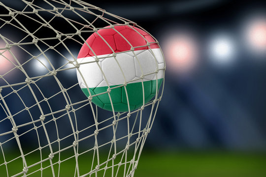 Hungarian soccerball in net
