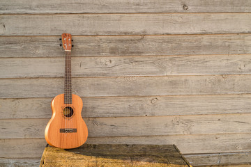 Obraz premium Ukulele Guitar over the wooden fence