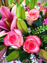pink and green flowers