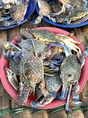 Fresh crabc at the market in Thailand.
