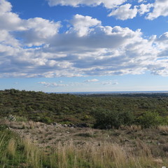 landscape, road, winter, february, portugal, algarve