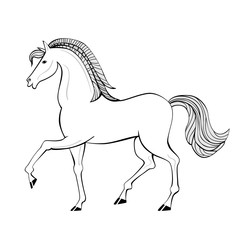 Hand drawn horse. Animal with beautiful mane and tail.