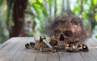 Skull which has hairline with pile of bone on wooden table in the garden
