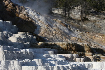 Minerva Terrace at Mammoth Hot Springs in Yellowstone National Park,
