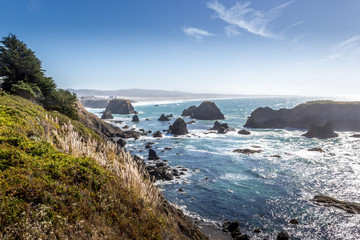 Fototapeta na wymiar pacific coast California 