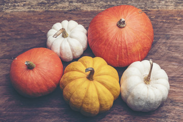 colorful pumpkin on wooden background