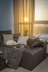 Cozy family room with brown couch
