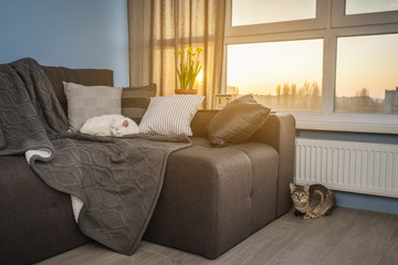 Cozy family room with brown couch