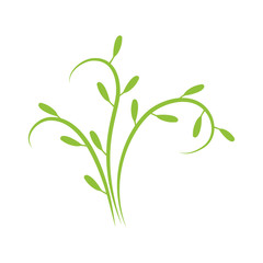 floral vector illustration